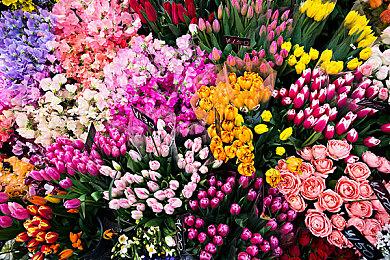 经典派对游戏重制 《多卡邦王国：连接》预告片